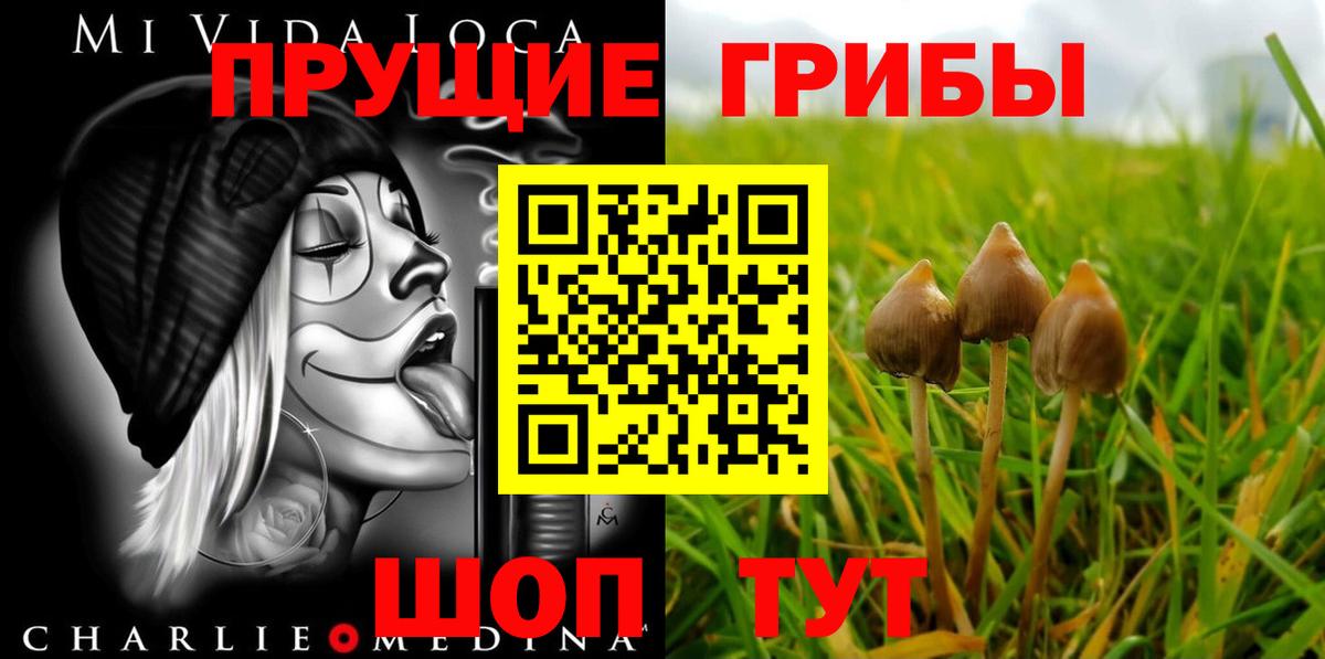 Псилоцибиновые грибы прущие грибы Корсаков
